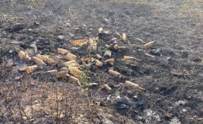 Десятикратный эффект линзы: брошенные стеклянные бутылки вызвали пожар в Ростовской области