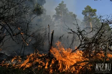 Фото: В Кузбассе спутник будет сообщать о лесных пожарах и юбилее региона 1