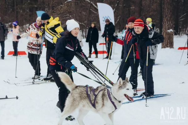 Скорость в Рудничном бору: как в Кемерове прошёл весенний лыжный забег