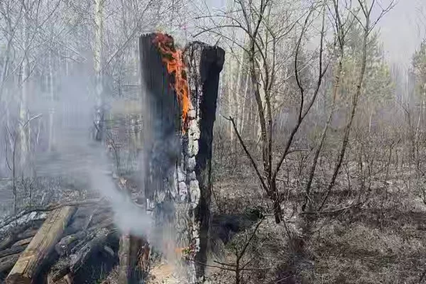 В Тольятти начался лесной пожар после падения обломков БПЛА