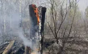 В Тольятти начался лесной пожар после падения обломков БПЛА