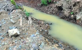 Два золотодобытчика заплатят более 1 миллиона рублей за загрязнение рек в Кузбассе