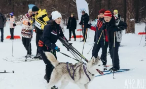 Скорость в Рудничном бору: как в Кемерове прошёл весенний лыжный забег