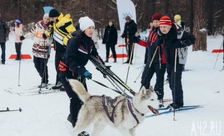 Скорость в Рудничном бору: как в Кемерове прошёл весенний лыжный забег