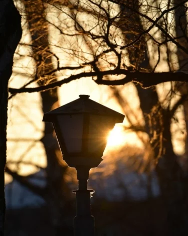 Фото: A42.RU