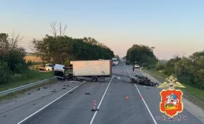 В ДТП в подмосковном Воскресенске погибли женщина и 5-летний ребёнок
