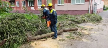 Фото: В Кемерове более 220 специалистов ликвидируют последствия урагана  1