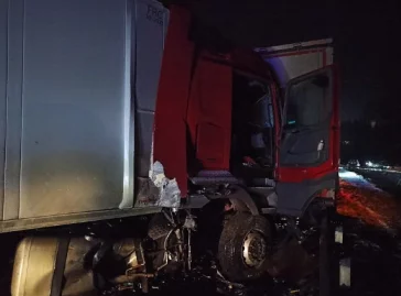 Фото: agentstvo_kuzbass42