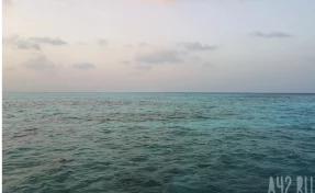 Fars: Иран остановил проход судов через Ормузский пролив