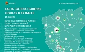 Опубликована карта распространения коронавируса в Кузбассе на 14 мая