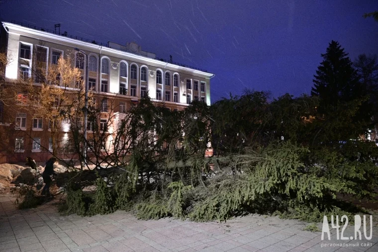 Фото: Ураганный ветер повалил дерево в центре Кемерова  2