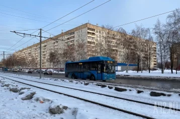 Фото: Водитель автобуса обматерил ребёнка: администрация Кемерова проводит проверку 1