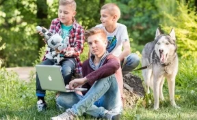 Компьютерные каникулы: чем занять ребёнка летом