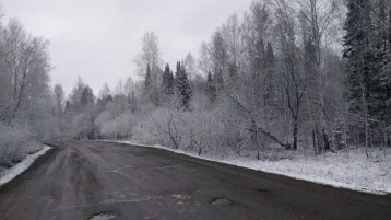 Фото: В Кузбассе снова выпал снег 1