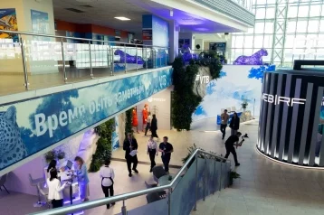 Фото: ВТБ: рынок сбережений вырастет на 17% к концу года 1