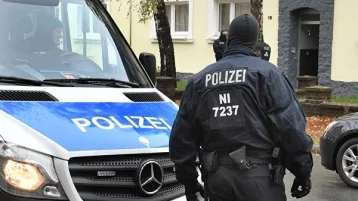 Фото: В Германии осы помогли задержать сбежавшего преступника 1