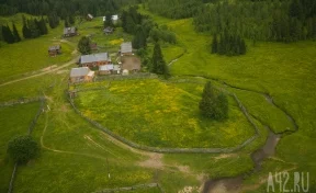 У кузбассовца изъяли 17 гектаров земли за задолженность по налогам более 5 млн рублей