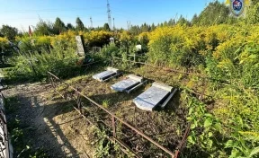 В Кузбассе следователи ищут очевидцев разгрома вандалами городского кладбища