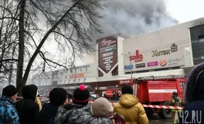 В Кемерове сформирован Общественный центр помощи пострадавшим в пожаре в «Зимней вишне»