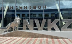Кузбассовцам предложили выбрать имя для волка