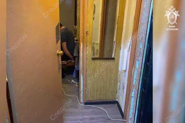 В Смоленске предъявили обвинение похитившей 9-летнюю девочку паре