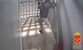 В Новокузнецке полицейский толкнул задержанного, возбуждено уголовное дело