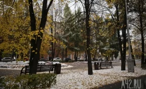 Похолодание до -12 ожидается в Кузбассе на выходных