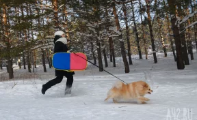 Синоптики: в Кузбассе на выходных потеплеет до +7