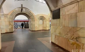 В Москве женщина погибла, упав под прибывающий поезд в метро