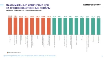 Инфографика: Кемеровостат