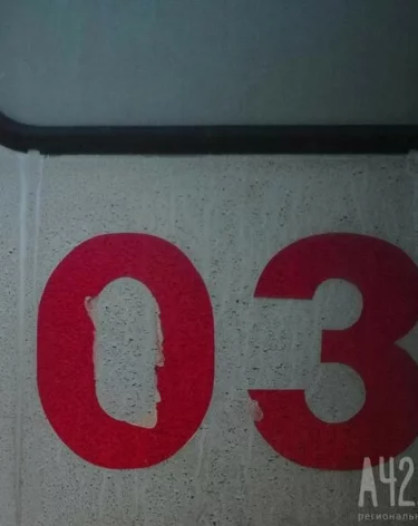 Фото: А42.RU