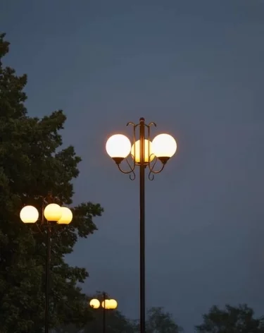Фото: А42.RU