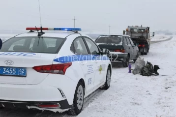 Фото: Жителю Кузбасса, купившему поддельные права, грозит уголовная ответственность 1