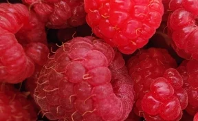 «Опасно»: диетолог рассказала, чем обрабатывают свежую ягоду зимой