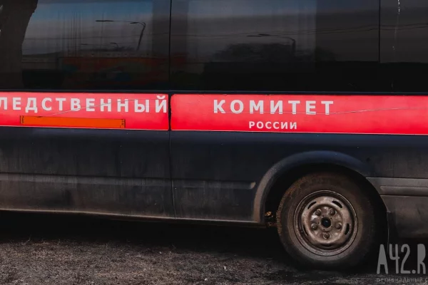 Бастрыкин потребовал доклад об обстрелявшем автобус в Кузбассе подростке