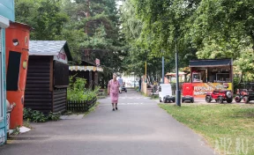 Власти Кемерова нашли подрядчиков для ремонта парка «Антошка» и Логового шоссе