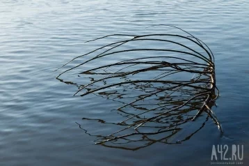 Фото: «Вода очень быстро прибывает»: юг Кузбасса начало топить 1