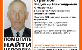 В Кузбассе три месяца не могут найти 72-летнего мужчину 