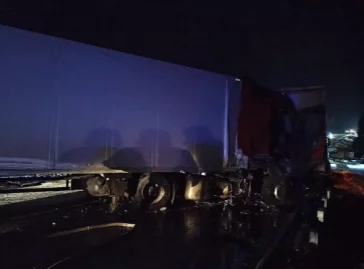 Фото: agentstvo_kuzbass42