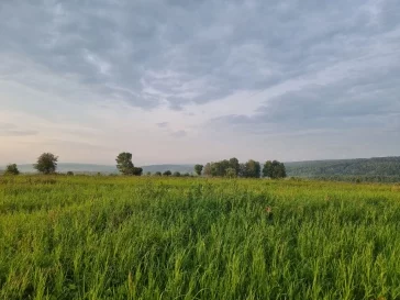 Фото: «Выбрался на природу»: мэр Кемерова показал, как отдыхает перед началом трудовой недели 3