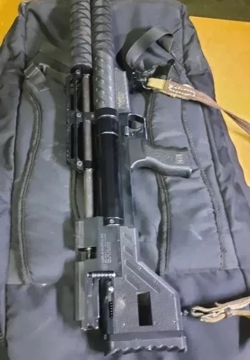 Фото: Кузбассовца накажут за незаконный отстрел зайца-беляка 3