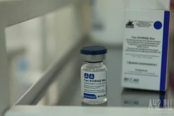 Фото: Гинцбург раскрыл масштабы производства вакцины «Спутник V» 1