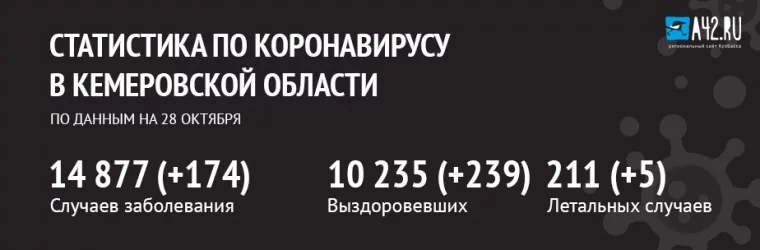 Фото: Коронавирус в Кемеровской области: актуальная информация на 28 октября 1
