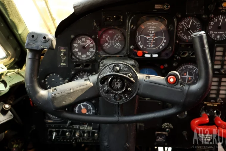 Фото: Мэр Кемерова озвучил часы работы нового кафе-мороженого в Ан-12 13