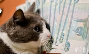 78 % кемеровчан не хотят отказываться от наличных денег