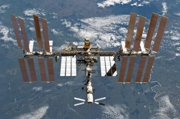 Фото: На обшивке МКС нашли споры земных бактерий, способные выжить в космосе 1