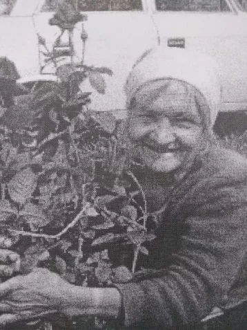 Фото: В Кемерове в конце июля пропала 79-летняя пенсионерка 1