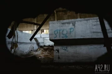 Фото: В Псковской области школьница упала в шахту крематория с высоты 4 этажа 1