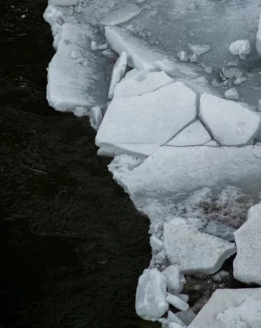 Водолазы достали тело убитого мальчика из водоёма в Ленобласти