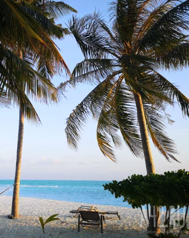 В Гвинее-Бисау произошёл государственный переворот